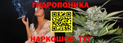 ECSTASY Будённовск