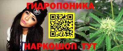 ECSTASY Будённовск