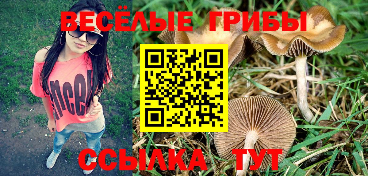 Шатура  Псилоцибиновые грибы прущие грибы  Вход с VPN  Псилоцибиновые грибы прущие грибы 